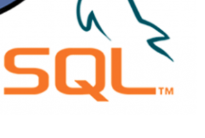 Read more about the article Mysql Server